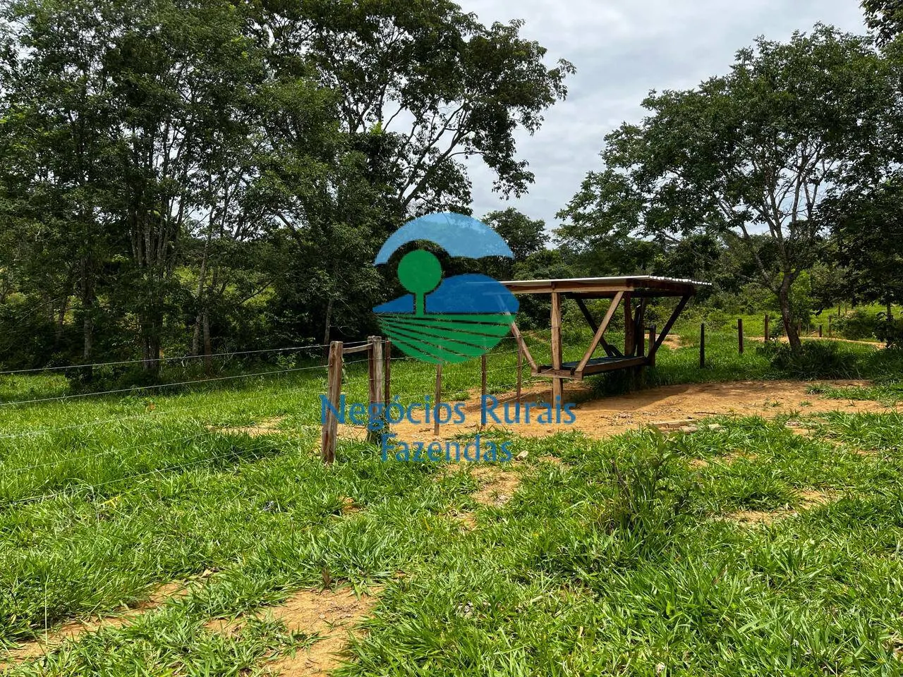 Fazenda à venda de 667 ha em Padre Bernardo, GO, Brasil