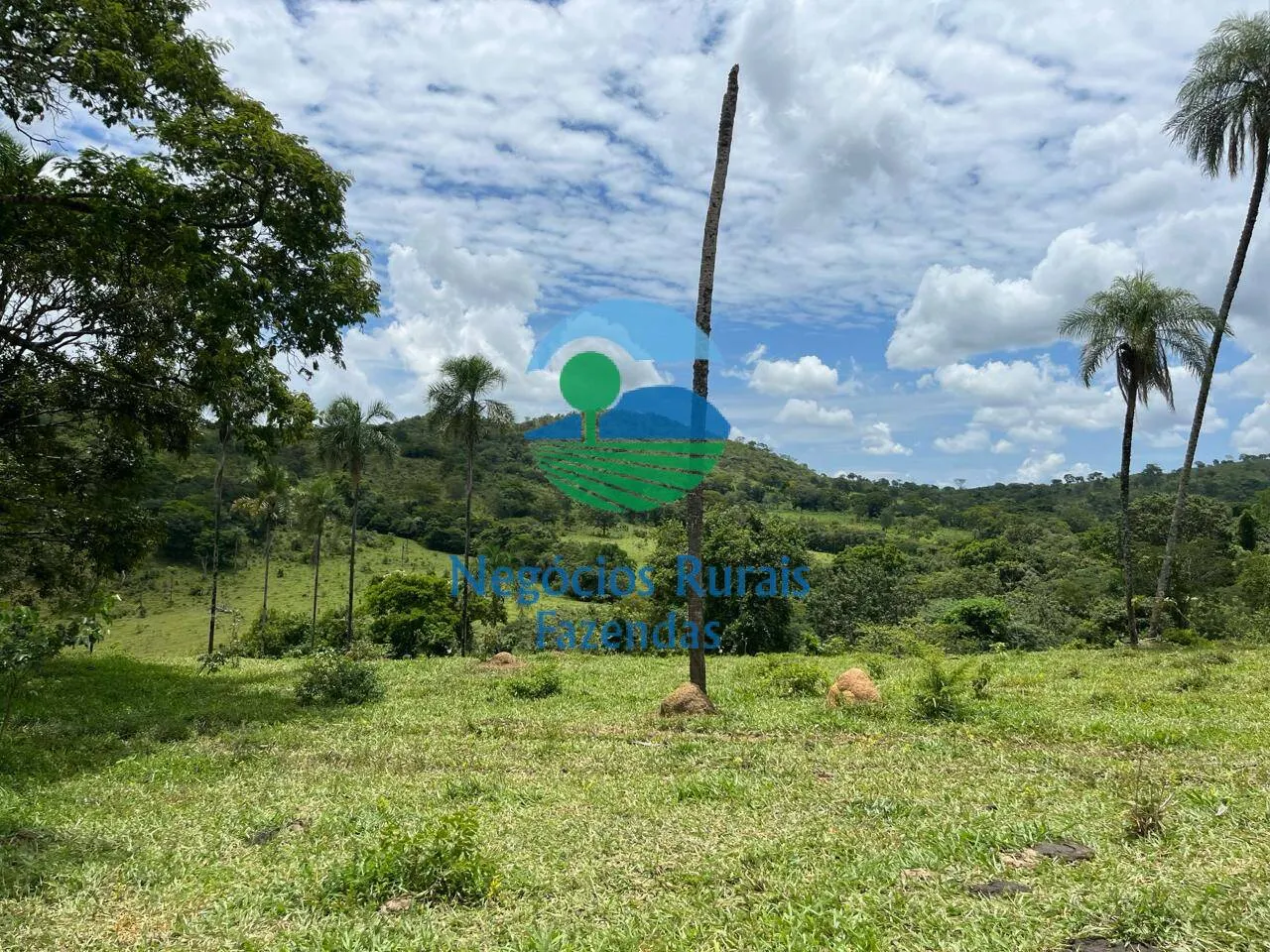 Fazenda à venda de 667 ha em Padre Bernardo, GO, Brasil
