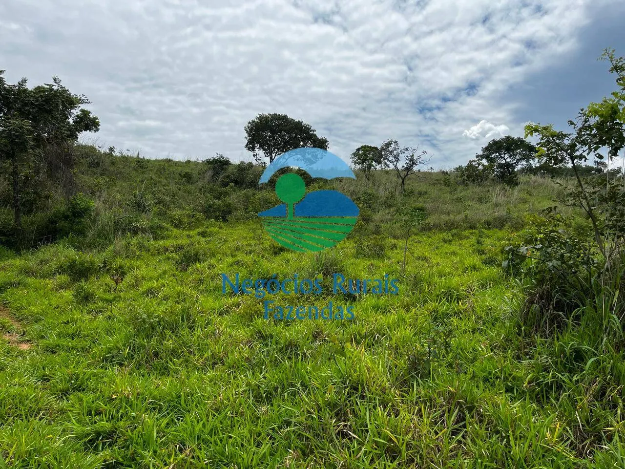 Fazenda à venda de 667 ha em Padre Bernardo, GO, Brasil