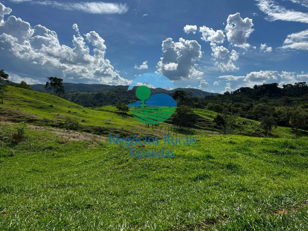 Fazenda à venda de 667 ha em Padre Bernardo, GO, Brasil