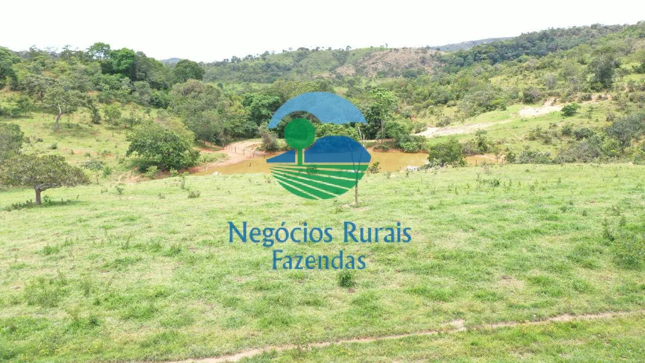 Fazenda à venda de 667 ha em Padre Bernardo, GO, Brasil