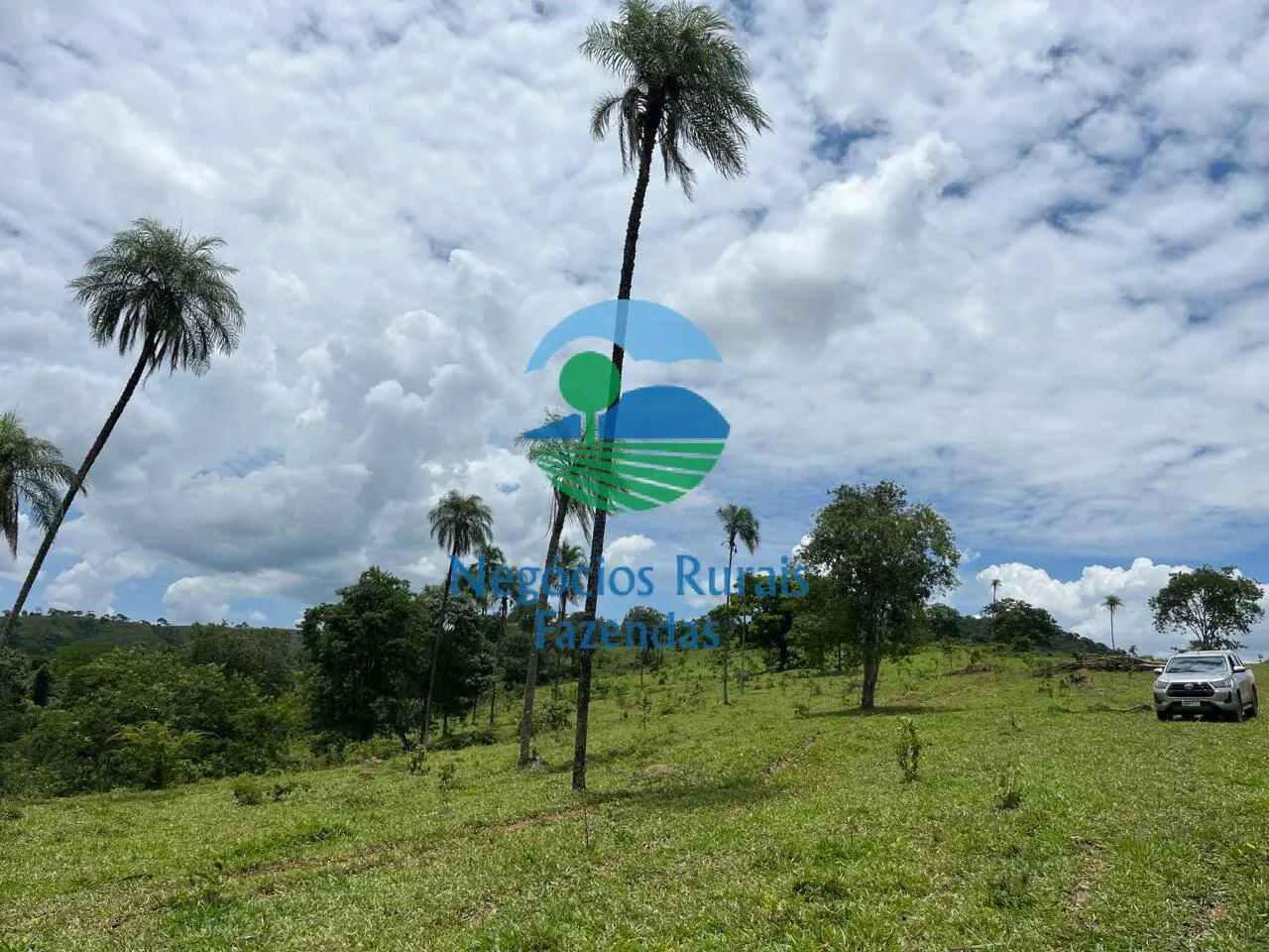 Fazenda à venda de 667 ha em Padre Bernardo, GO, Brasil