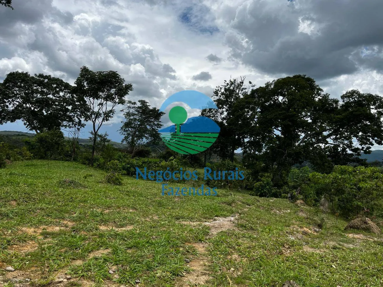 Fazenda à venda de 667 ha em Padre Bernardo, GO, Brasil