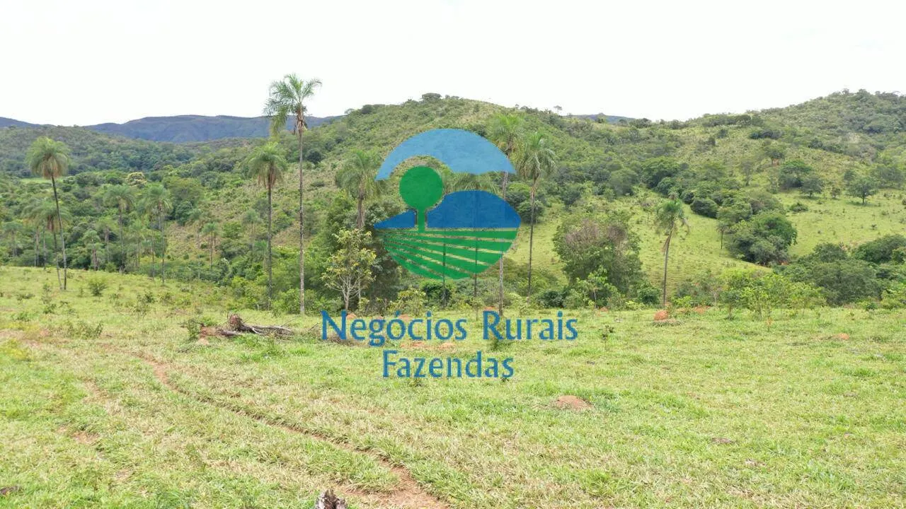 Fazenda à venda de 667 ha em Padre Bernardo, GO, Brasil