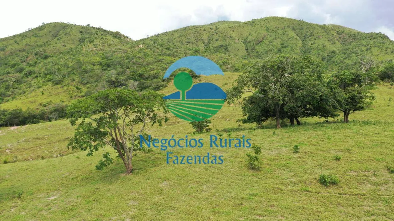 Fazenda à venda de 667 ha em Padre Bernardo, GO, Brasil