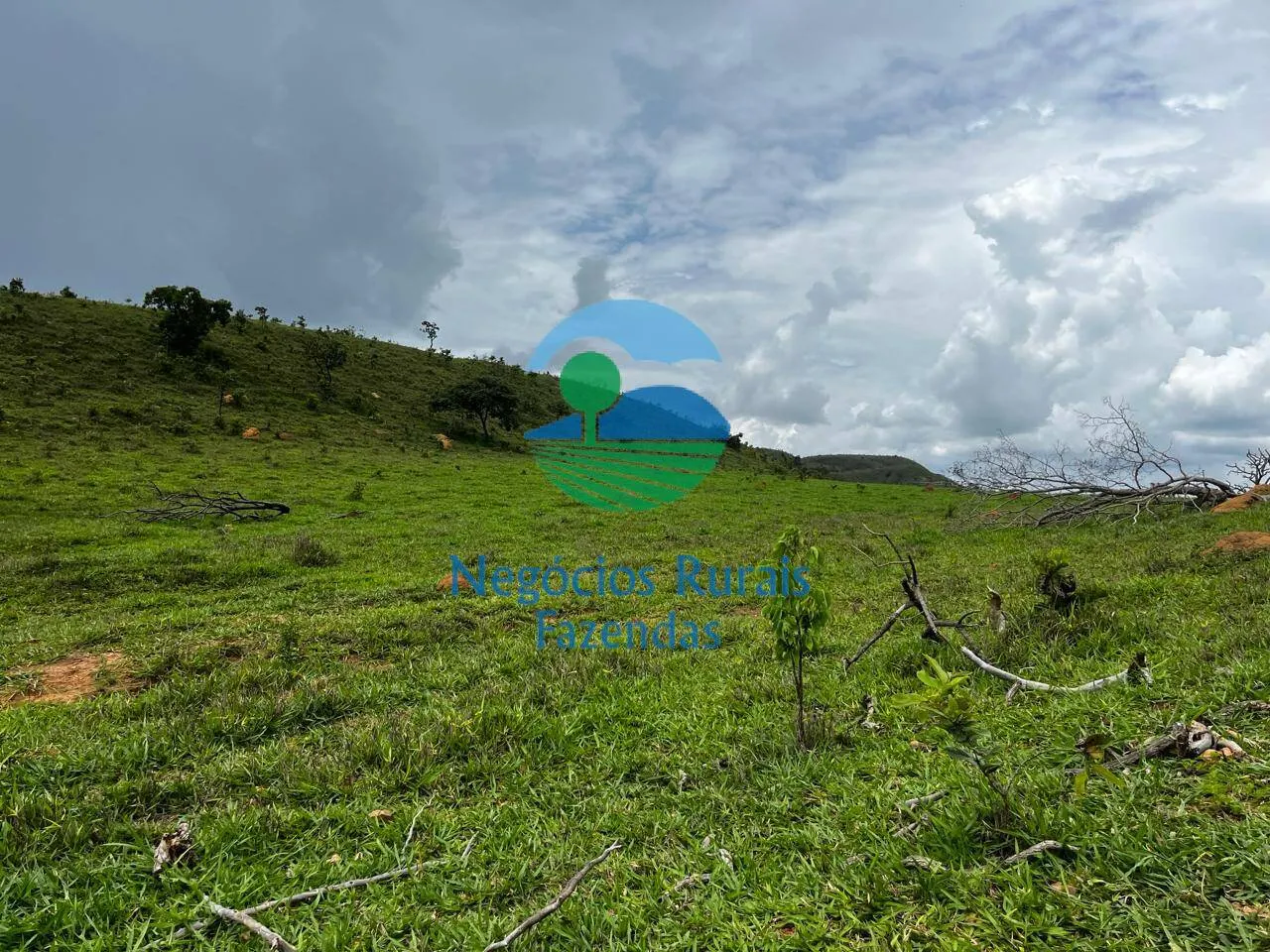 Fazenda à venda de 667 ha em Padre Bernardo, GO, Brasil
