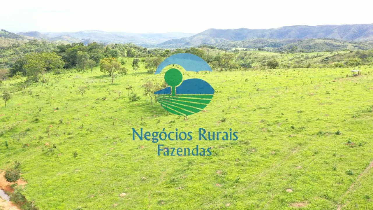 Fazenda à venda de 667 ha em Padre Bernardo, GO, Brasil