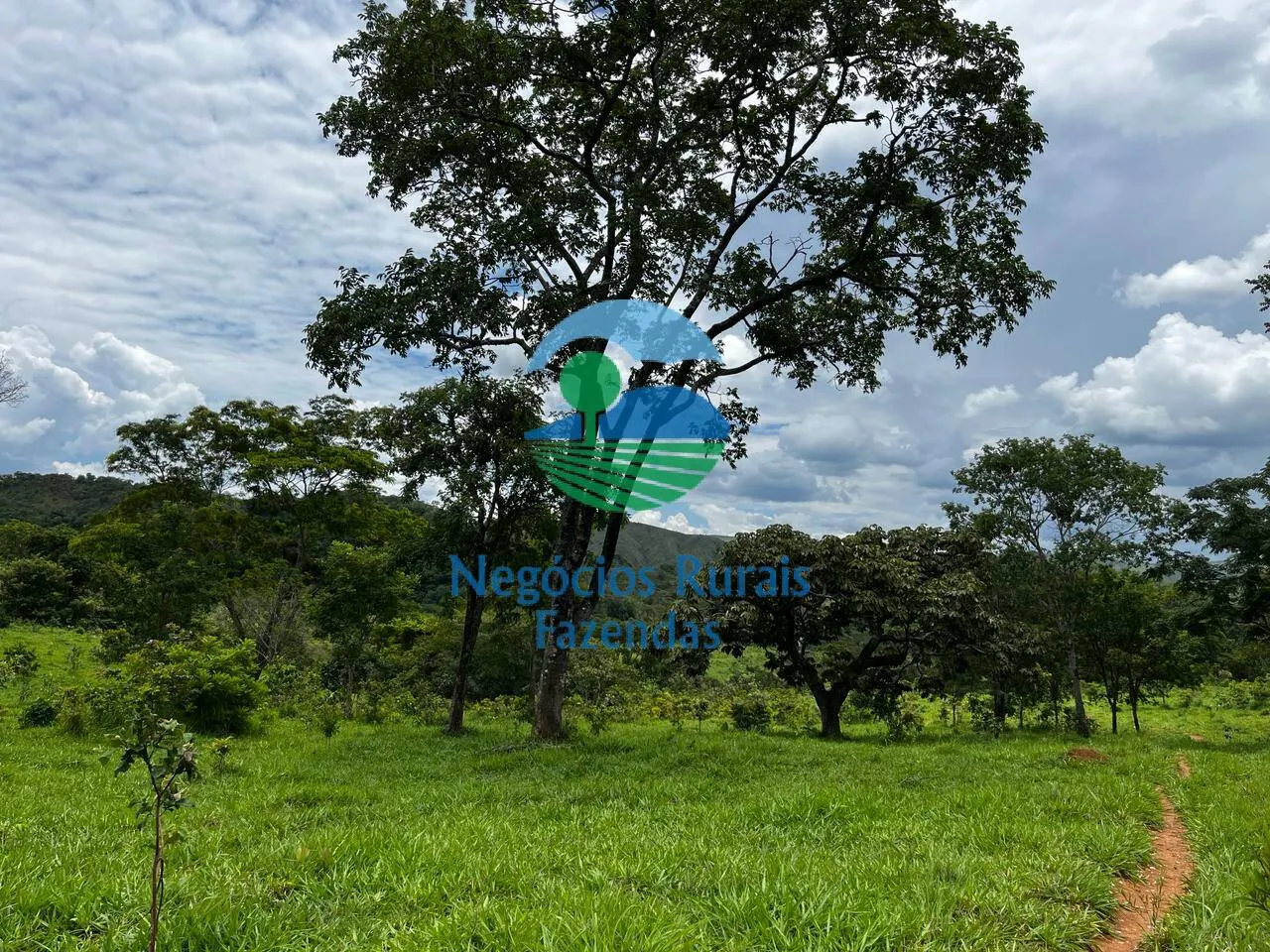Fazenda à venda de 667 ha em Padre Bernardo, GO, Brasil