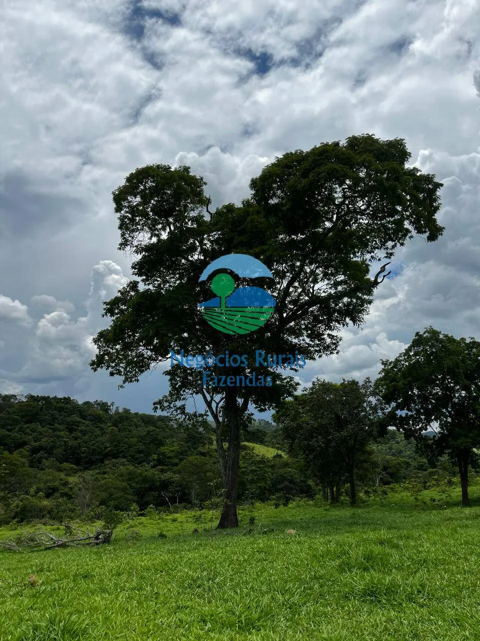 Fazenda à venda de 667 ha em Padre Bernardo, GO, Brasil
