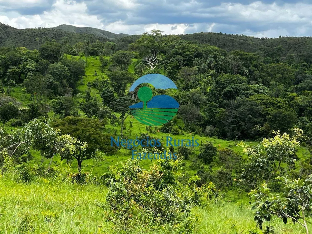 Fazenda à venda de 667 ha em Padre Bernardo, GO, Brasil