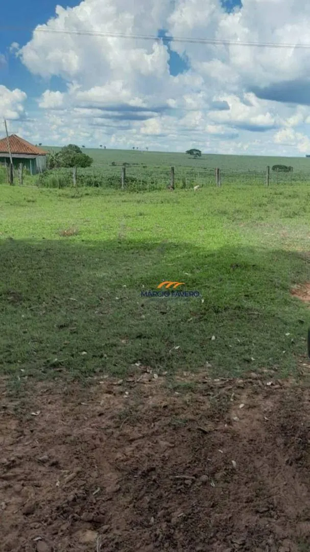 Fazenda à venda de 339 ha em Martinópolis, SP, Brasil