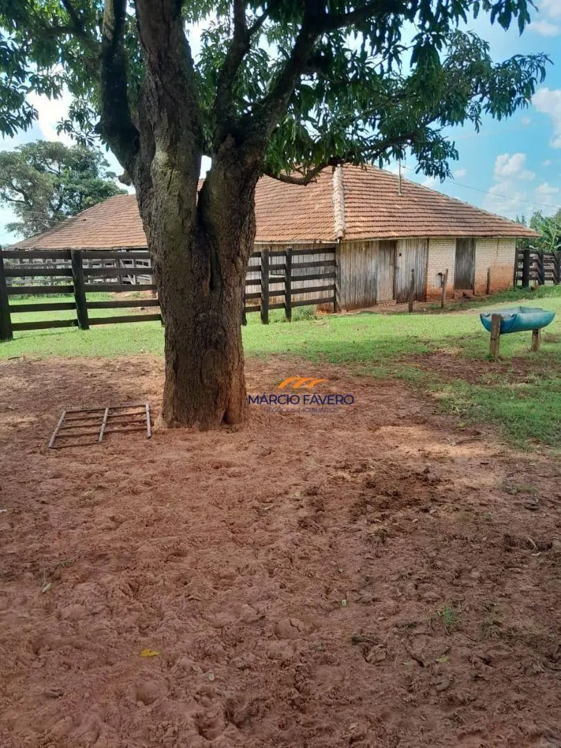Fazenda à venda de 339 ha em Martinópolis, SP, Brasil