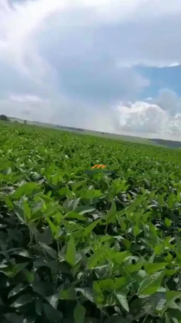 Fazenda à venda de 339 ha em Martinópolis, SP, Brasil