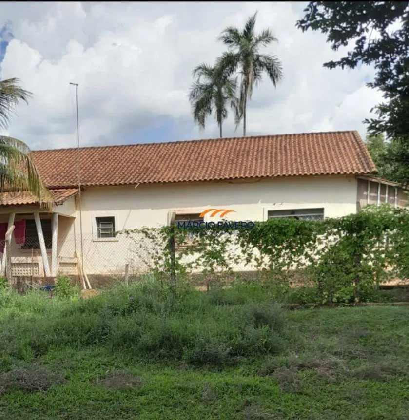 Fazenda à venda de 339 ha em Martinópolis, SP, Brasil