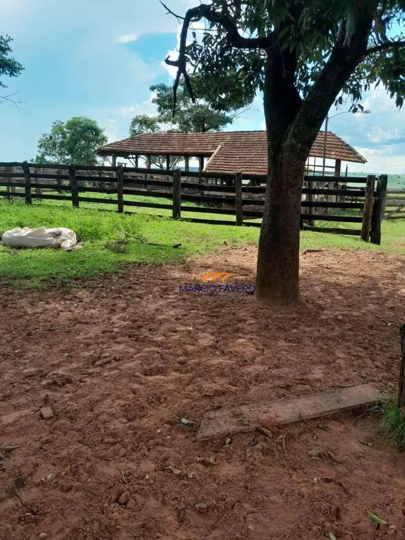 Fazenda à venda de 339 ha em Martinópolis, SP, Brasil