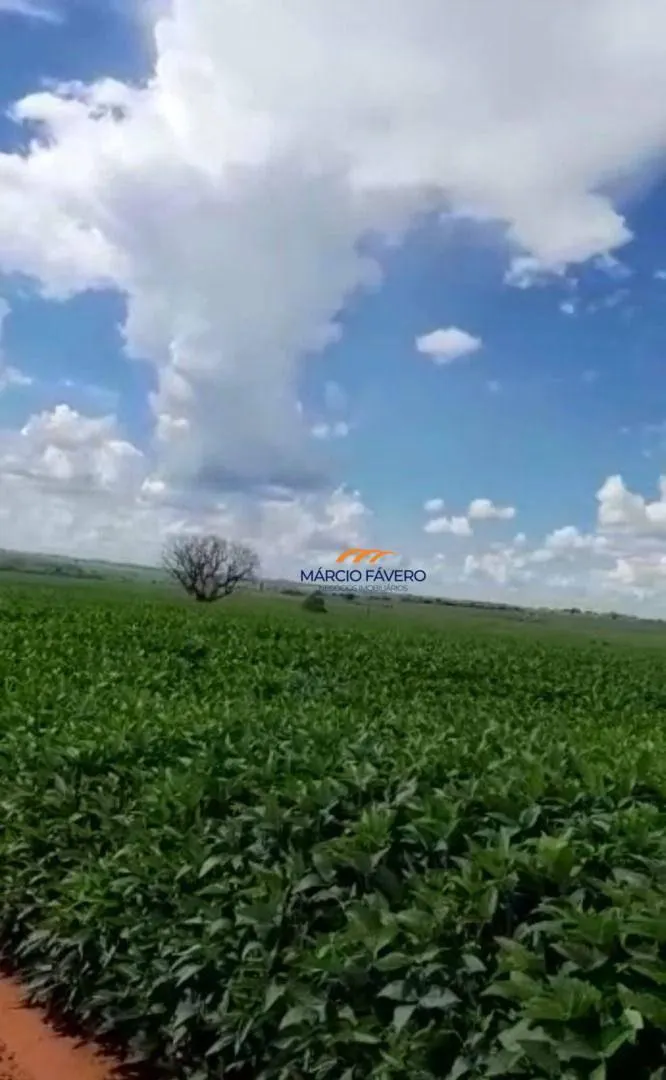 Fazenda à venda de 339 ha em Martinópolis, SP, Brasil