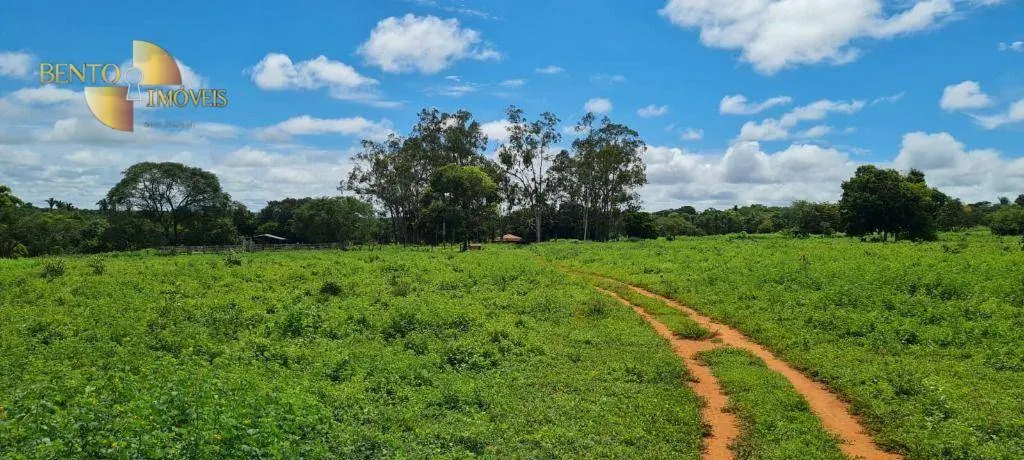 Fazenda à venda de 2.132 ha em Gaúcha do Norte, MT, Brasil
