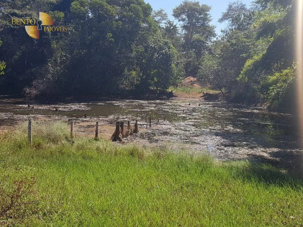 Fazenda à venda de 2.132 ha em Gaúcha do Norte, MT, Brasil