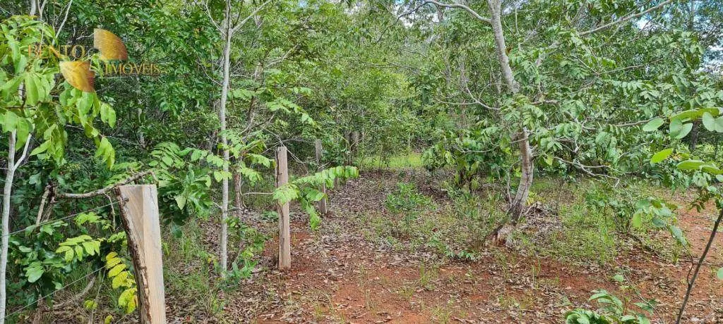 Fazenda à venda de 2.132 ha em Gaúcha do Norte, MT, Brasil