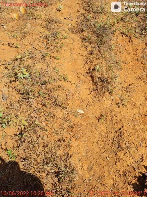 Fazenda à venda de 2.132 ha em Gaúcha do Norte, MT, Brasil