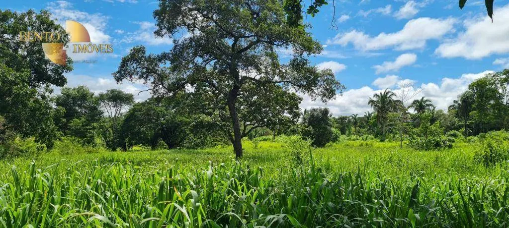 Fazenda à venda de 2.132 ha em Gaúcha do Norte, MT, Brasil