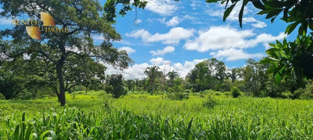 Fazenda à venda de 2.132 ha em Gaúcha do Norte, MT, Brasil