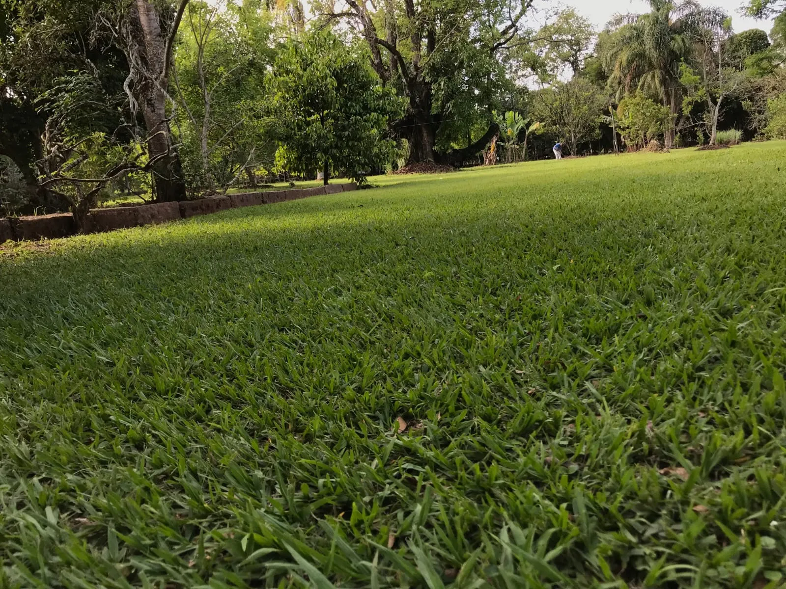 Chácara à venda de 5.000 m² em Araçoiaba da Serra, SP, Brasil