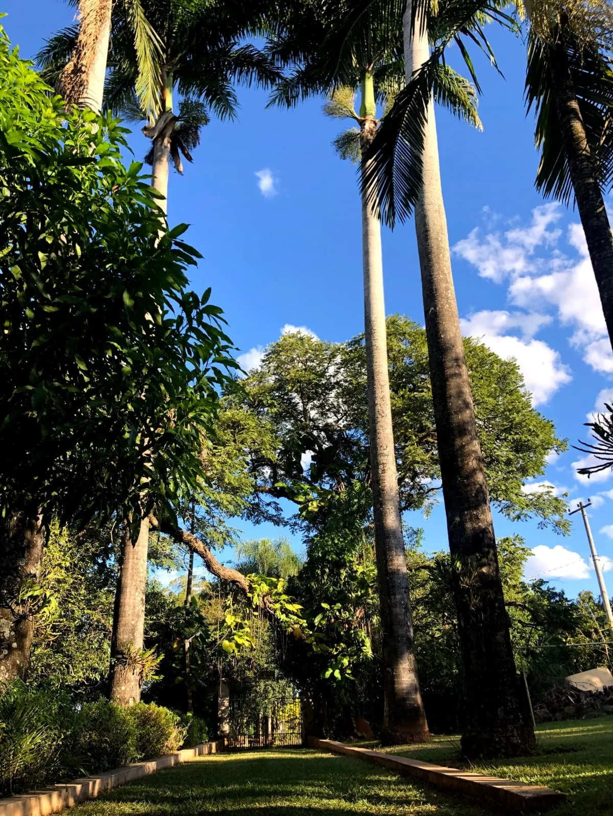 Chácara à venda de 5.000 m² em Araçoiaba da Serra, SP, Brasil