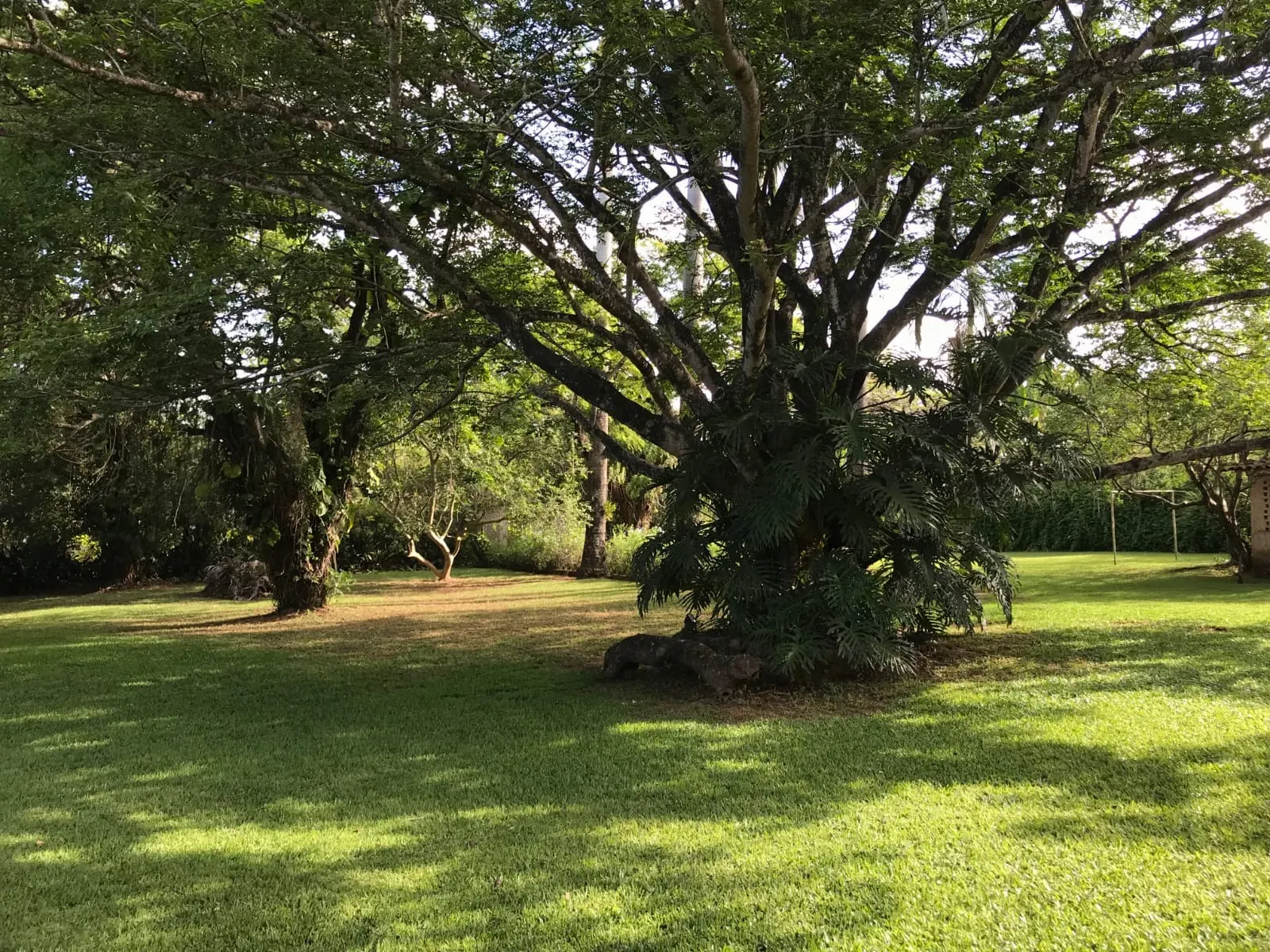 Chácara à venda de 5.000 m² em Araçoiaba da Serra, SP, Brasil