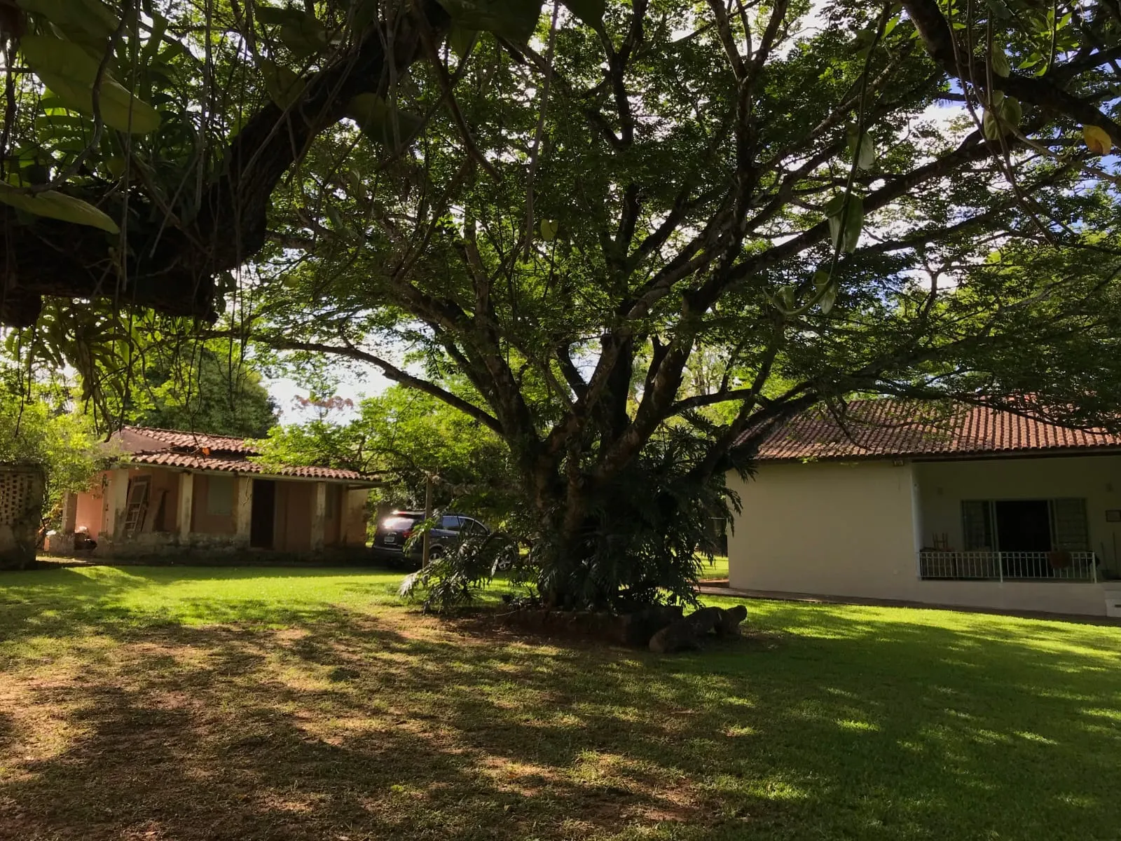 Chácara à venda de 5.000 m² em Araçoiaba da Serra, SP, Brasil