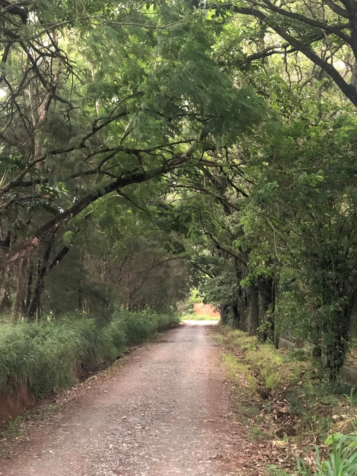 Chácara à venda de 5.000 m² em Araçoiaba da Serra, SP, Brasil