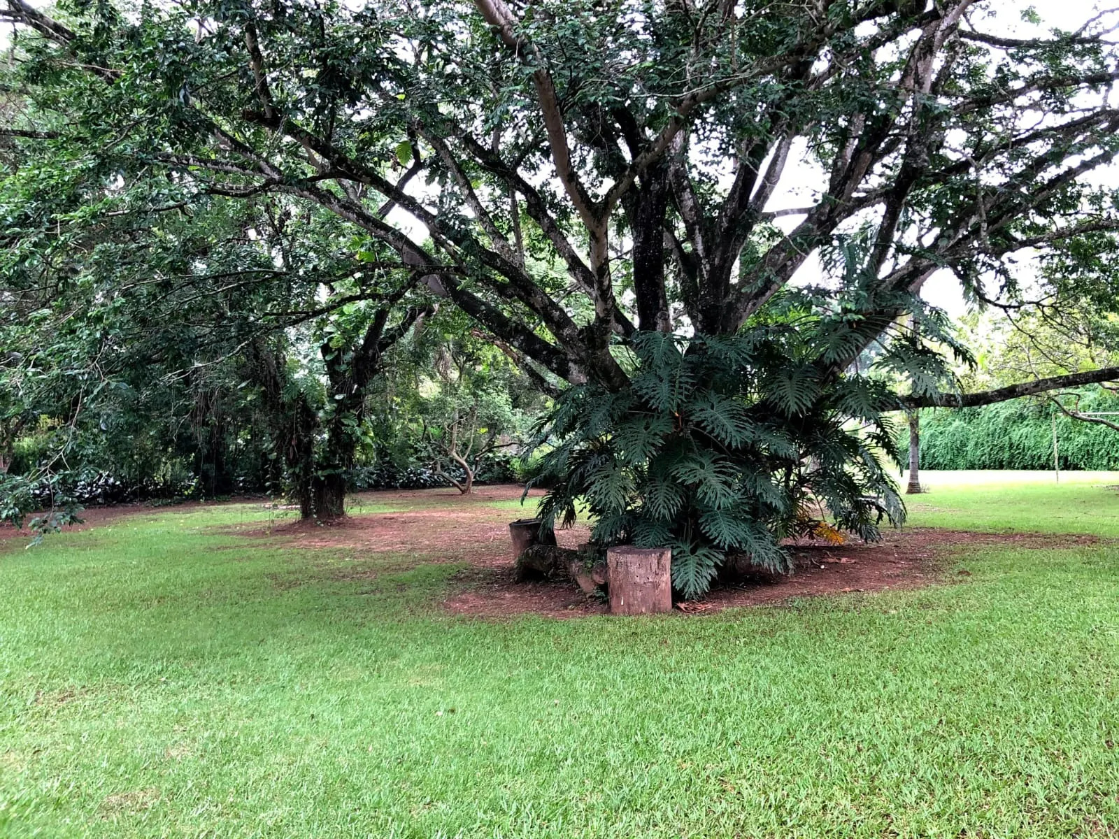 Chácara à venda de 5.000 m² em Araçoiaba da Serra, SP, Brasil