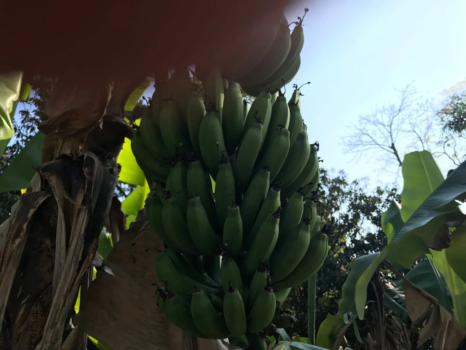 Chácara à venda de 5.000 m² em Araçoiaba da Serra, SP, Brasil