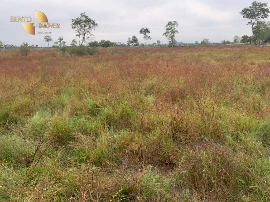 Fazenda à venda de 265 ha em Cuiabá, MT, Brasil
