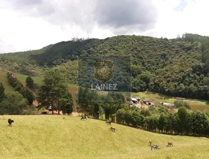 Sítio à venda de 41 ha em Juquitiba, SP, Brasil