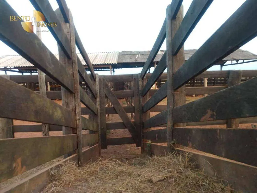 Fazenda à venda de 500 ha em Cuiabá, MT, Brasil
