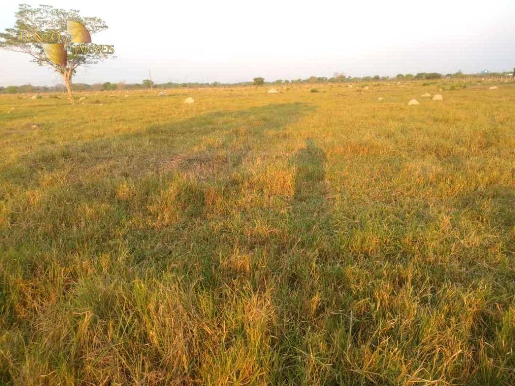 Fazenda à venda de 500 ha em Cuiabá, MT, Brasil