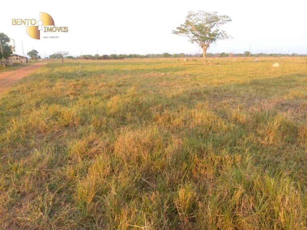Fazenda à venda de 500 ha em Cuiabá, MT, Brasil