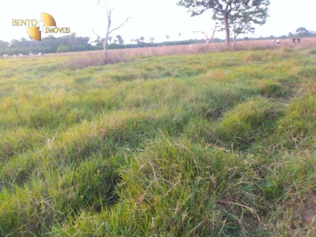 Fazenda à venda de 500 ha em Cuiabá, MT, Brasil