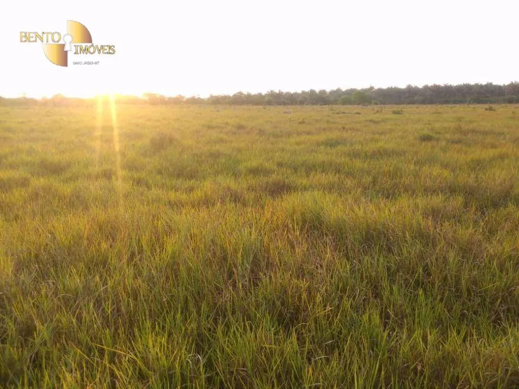 Fazenda à venda de 500 ha em Cuiabá, MT, Brasil