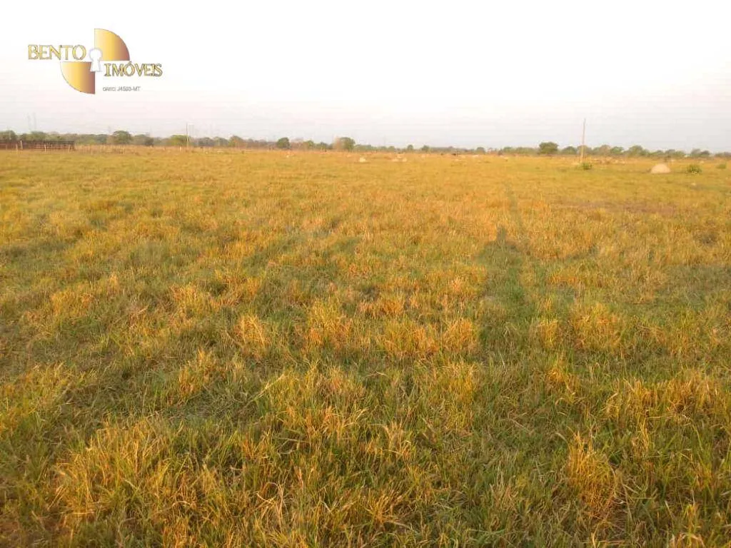 Fazenda à venda de 500 ha em Cuiabá, MT, Brasil