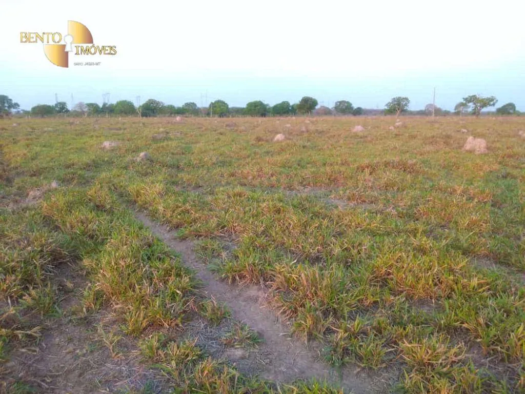 Fazenda à venda de 500 ha em Cuiabá, MT, Brasil