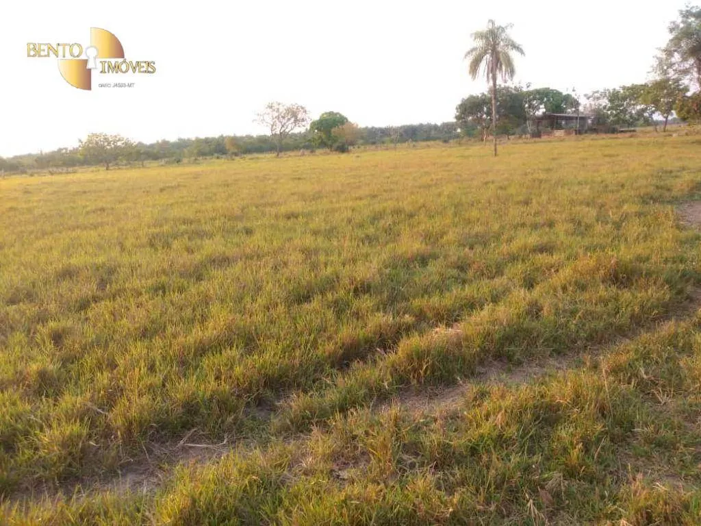 Fazenda à venda de 500 ha em Cuiabá, MT, Brasil