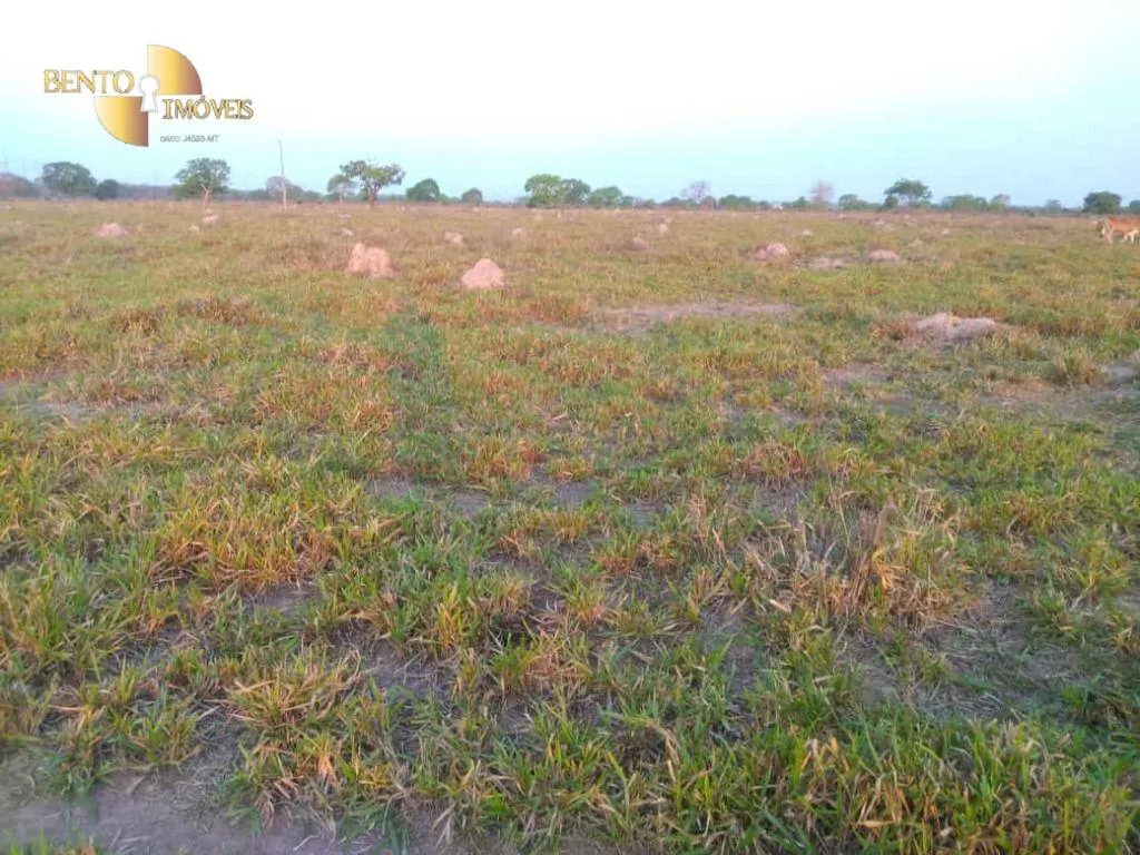 Fazenda à venda de 500 ha em Cuiabá, MT, Brasil