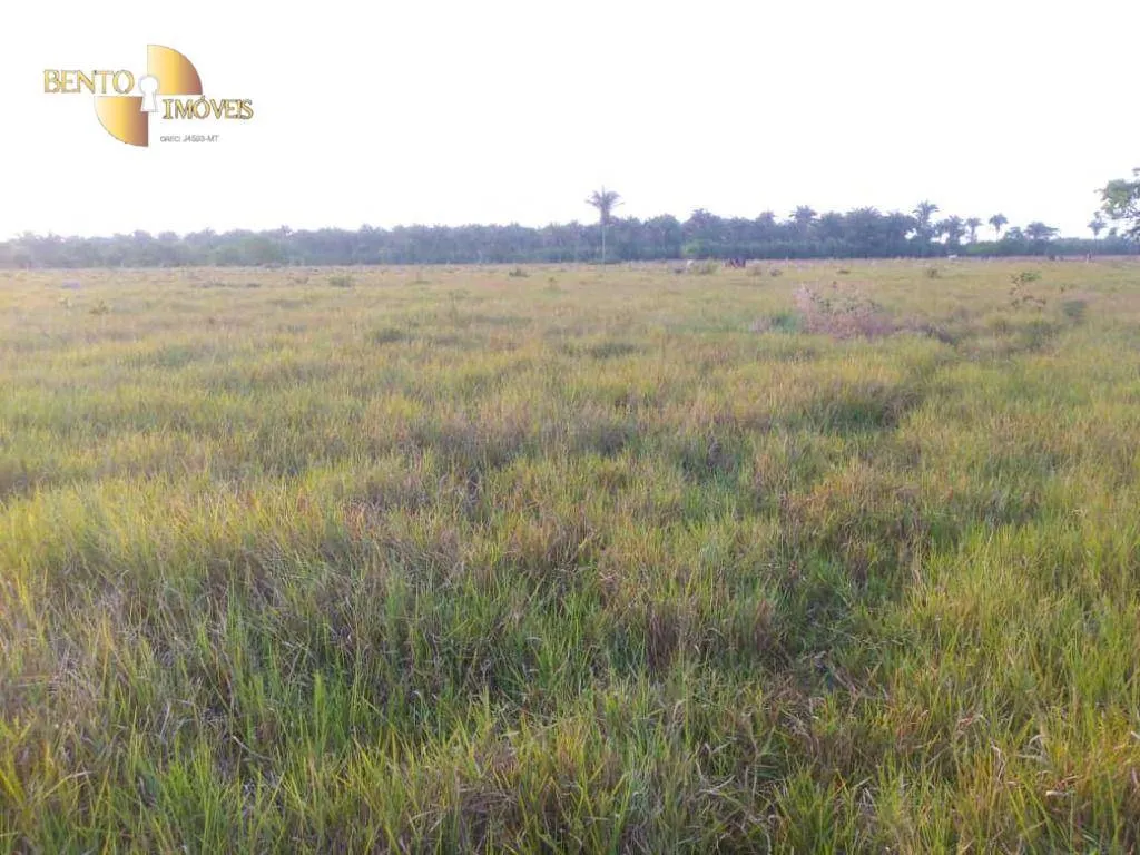 Fazenda à venda de 500 ha em Cuiabá, MT, Brasil