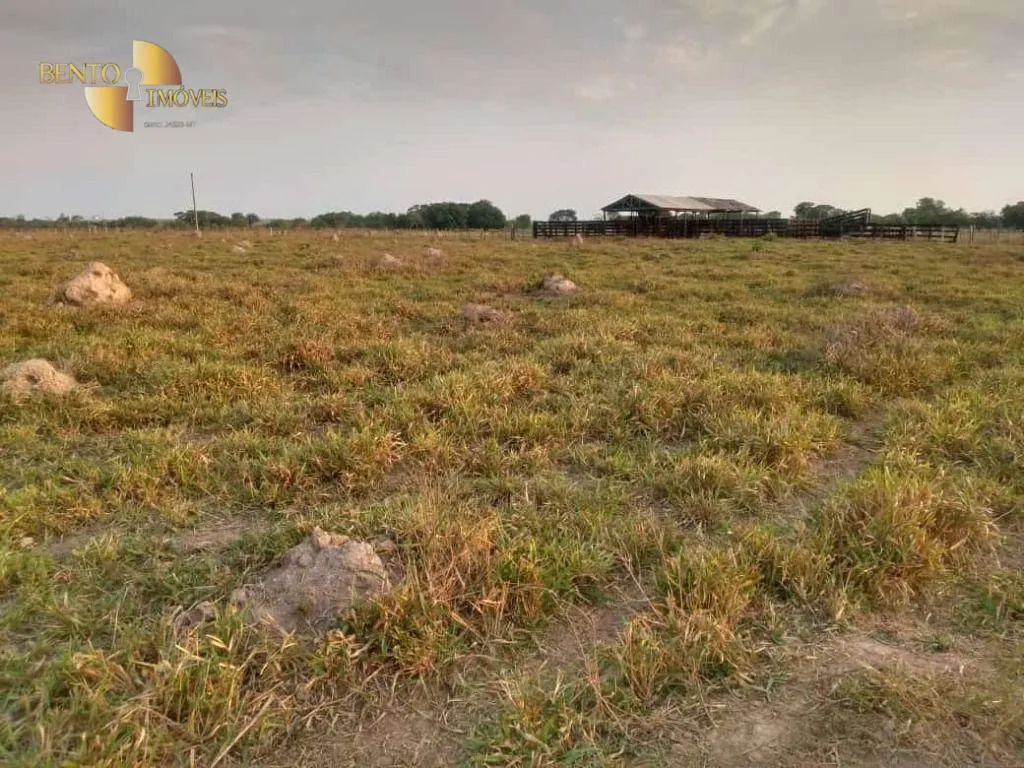 Fazenda à venda de 500 ha em Cuiabá, MT, Brasil