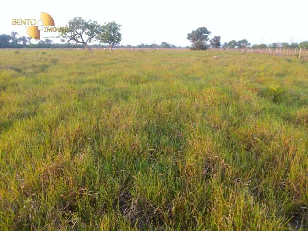 Fazenda à venda de 500 ha em Cuiabá, MT, Brasil