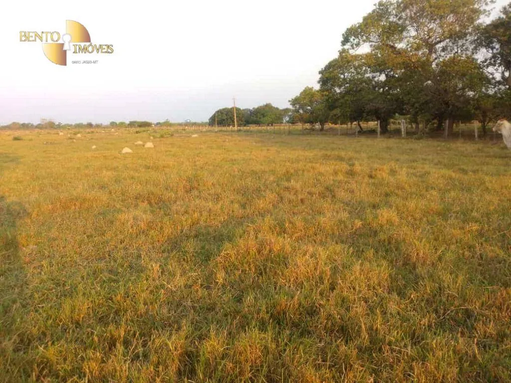 Fazenda à venda de 500 ha em Cuiabá, MT, Brasil