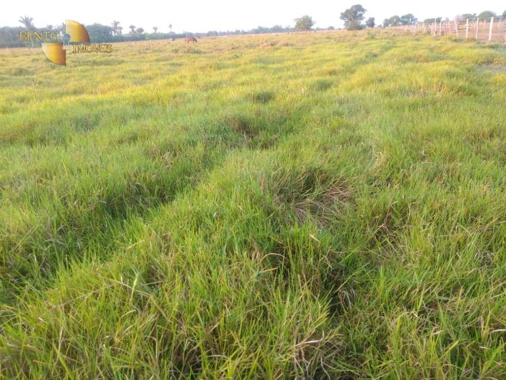Fazenda à venda de 500 ha em Cuiabá, MT, Brasil