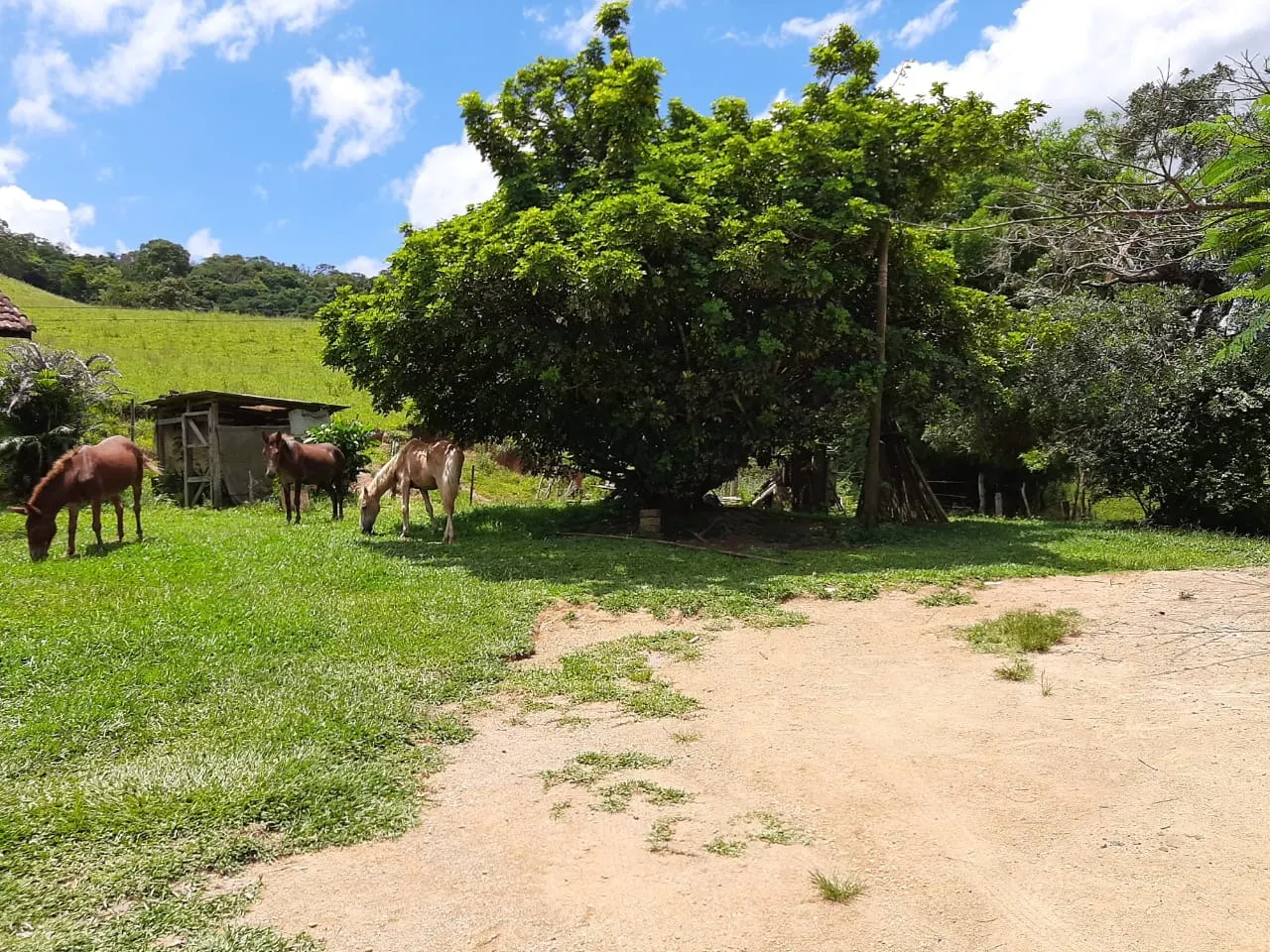 Small farm for sale of 60 acres in São Miguel Arcanjo, SP, Brazil